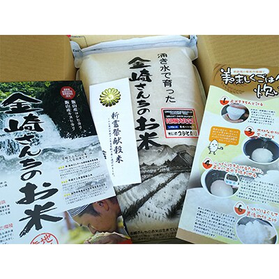 【毎月定期便】飯山産コシヒカリ 金崎さんちのお米10kg 全12回