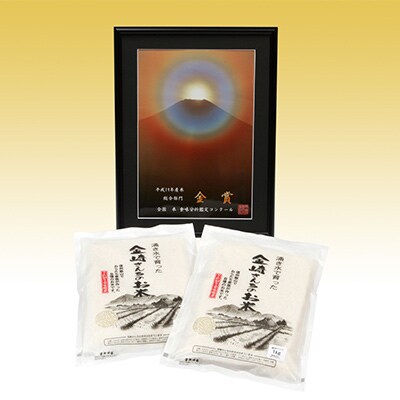 【毎月定期便】飯山産コシヒカリ 金崎さんちのお米10kg 全12回