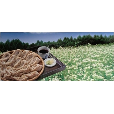 信州まだらお高原蕎麦　200g×15袋