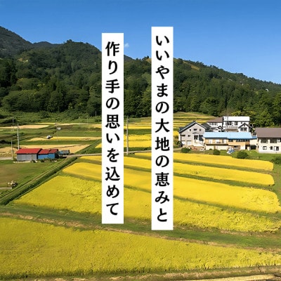 令和7年産 極上のコシヒカリ 七〇八米【黒】10kg 白米 飯山産　