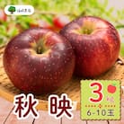 秋映　約3kg(6～10個入り)
