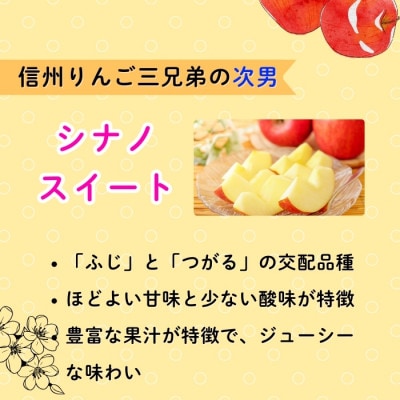 シナノスイート　約3kg(6～10個入り)