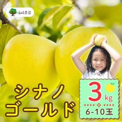 シナノゴールド　約3kg(6～10個入り)