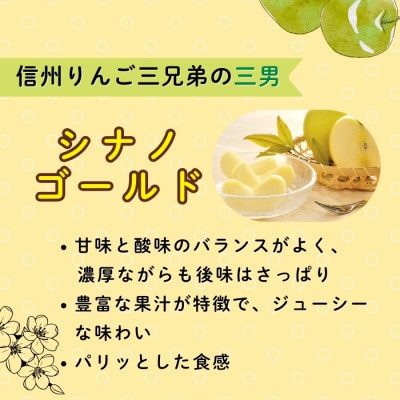 シナノゴールド　約3kg(6～10個入り)