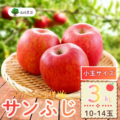 【先行予約】家庭用 サンふじ 《小玉》 約3kg(10～14個入り)《出荷:2025年12月中旬〜》