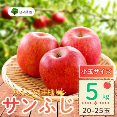 【先行予約】家庭用 サンふじ 《小玉》 約5kg (20～25個)《出荷:2025年12月中旬〜》