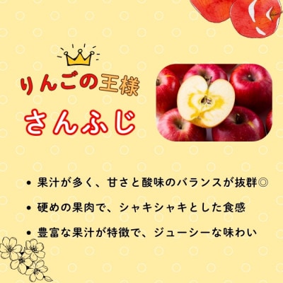 【先行予約】家庭用 サンふじ 《小玉》 約5kg (20～25個)《出荷:2025年12月中旬〜》