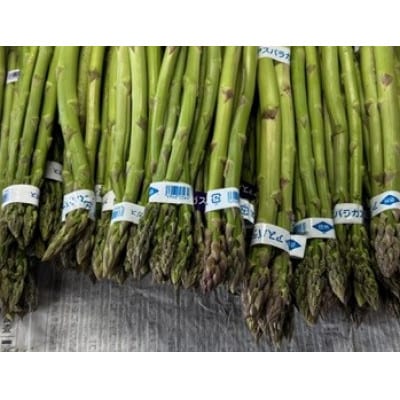 信州産アスパラ　家庭用　1Kg