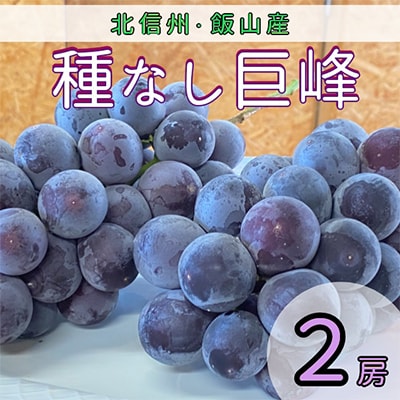 北信州産種なし巨峰2房(400g～500g×2房)