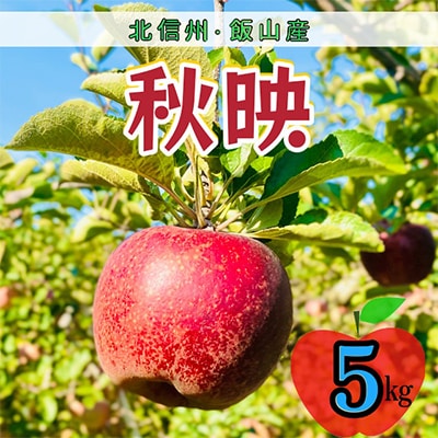 秋映　約5kg(12～18個入り)