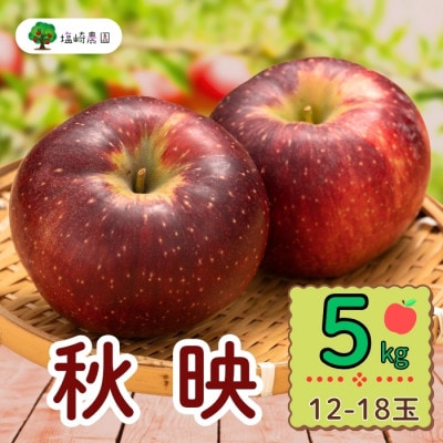 秋映　約5kg(12～18個入り)