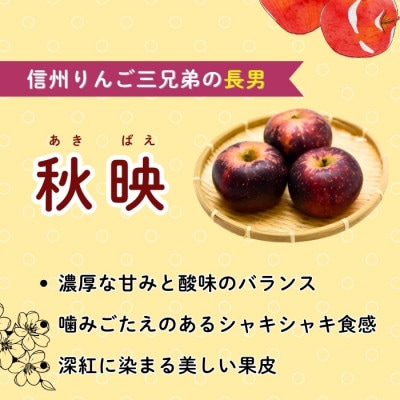 秋映　約5kg(12～18個入り)
