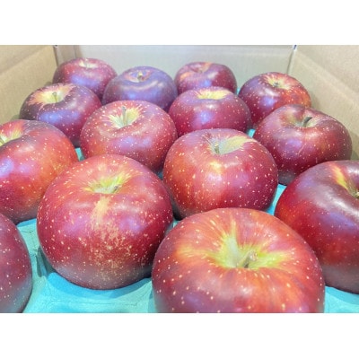 秋映　約5kg(12～18個入り)