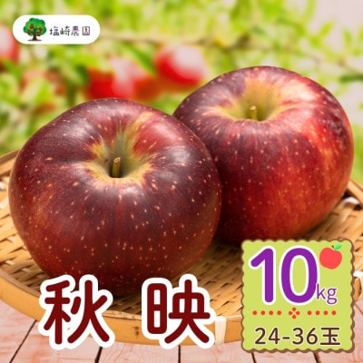 秋映　約10kg(24～36個入り)