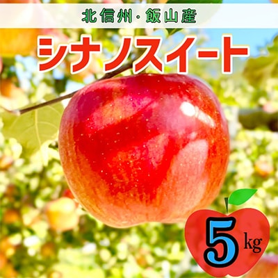 シナノスイート　約5kg(12～18個入り)