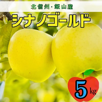 シナノゴールド　約5kg(12～18個入り)