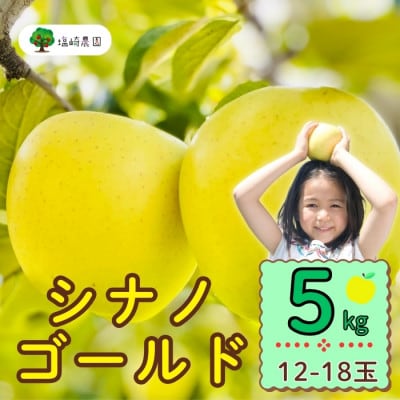 シナノゴールド　約5kg(12～18個入り)