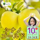 シナノゴールド　約10kg(24～36個入り)