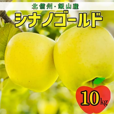 シナノゴールド　約10kg(24～36個入り)