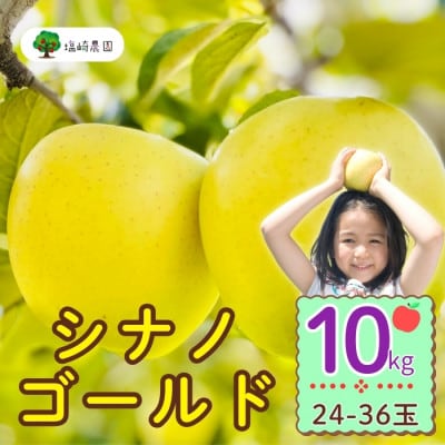 シナノゴールド　約10kg(24～36個入り)