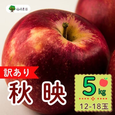 訳あり　秋映(あきばえ)約5kg