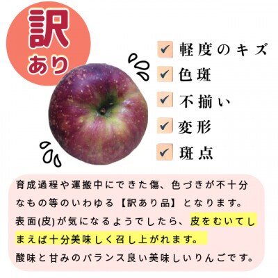 訳あり　秋映(あきばえ)約10kg