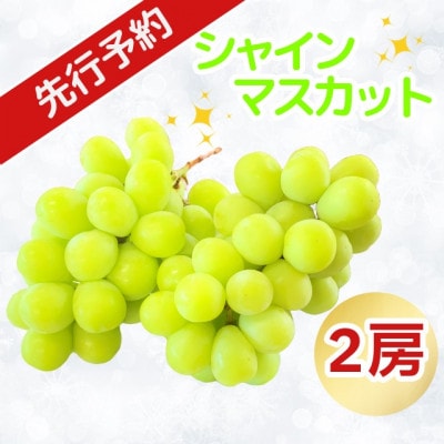 北信州産シャインマスカット2房入(400g～500g×2房)