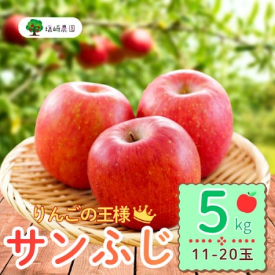 【先行予約】長野県産 サンふじ 約5kg (11～20個)《出荷:2025年12月上旬〜》