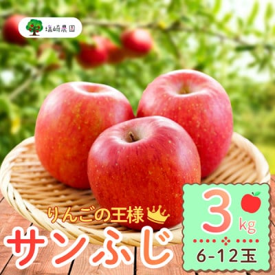 【先行予約】長野県産 サンふじ 約3kg(6～12個)《出荷:2025年12月上旬〜》