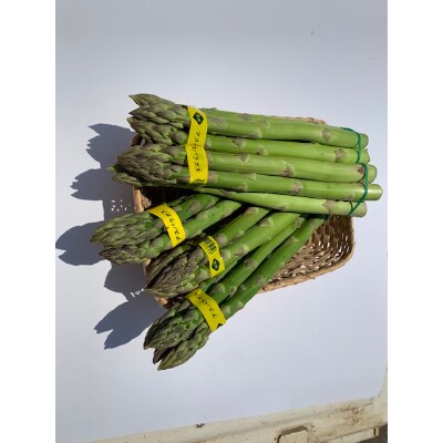信州産アスパラ　2Lサイズ1Kg