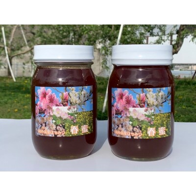 純粋信州産はちみつ　春蜜600g×2