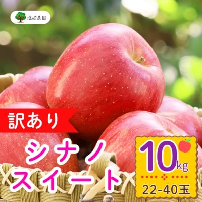 訳あり　シナノスィート　約10kg