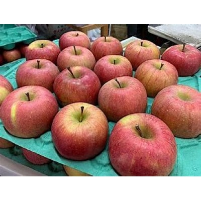 【訳あり】サンふじ　約3Kg