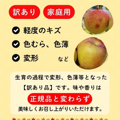 【訳あり】サンふじ　約3Kg