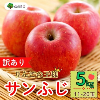 【訳あり】サンふじ　約5Kg