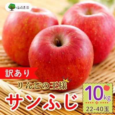 【訳あり】サンふじ　約10Kg