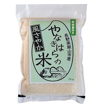 やなぎはらの米「風さやか」2kg×2袋(精米)