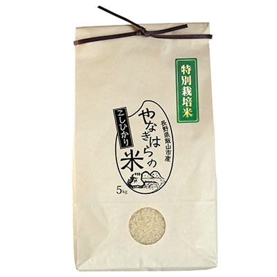 やなぎはらの米「コシヒカリ」5kg×2袋(精米)