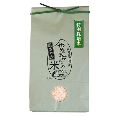 やなぎはらの米「風さやか」5kg×2袋(精米)