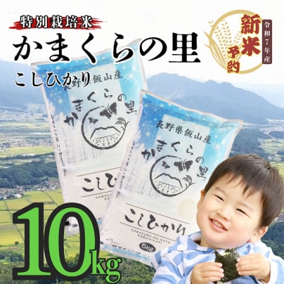 【令和7年産】【先行予約】かまくらの里コシヒカリ 白米 10kg(5kg×2袋)