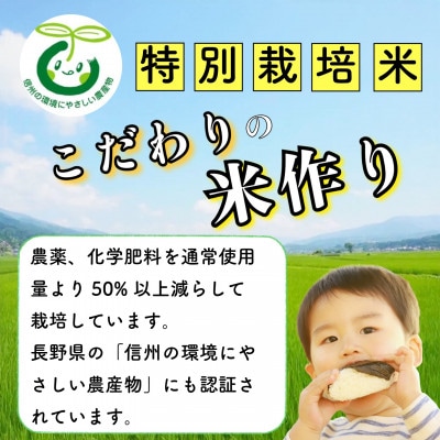 【令和7年産】【先行予約】かまくらの里コシヒカリ 白米 10kg(5kg×2袋)