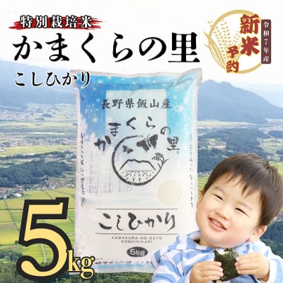 【令和7年産】【先行予約】かまくらの里コシヒカリ 白米 5kg