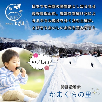 【令和7年産】【先行予約】かまくらの里コシヒカリ 白米 5kg