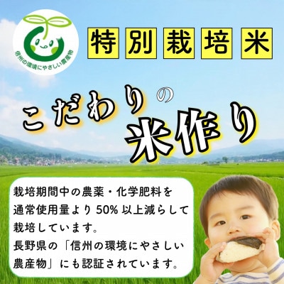 【令和7年産】【先行予約】かまくらの里コシヒカリ 白米 5kg
