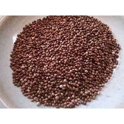 【長野県飯山市産】えごま粉 100g×5袋