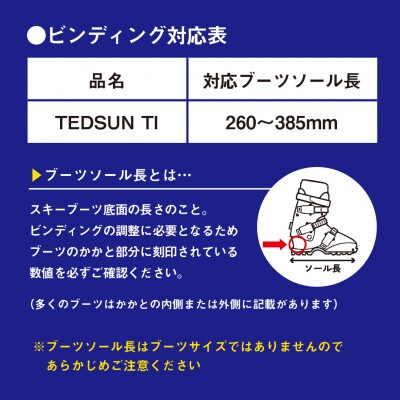 【限定モデル】大人スキー板 TEDSUN TI 165cm スワロースキー