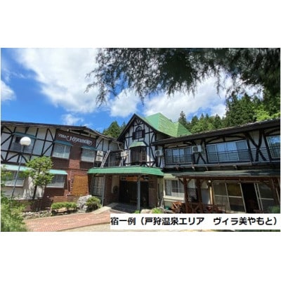 信州いいやま宿泊補助券9,000円分