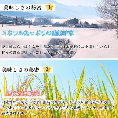 【令和7年産】【先行予約】奥信濃飯山 ～木内ファームのお米～ コシヒカリ 玄米 10kg