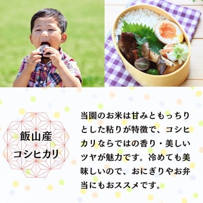 【令和7年産】【先行予約】奥信濃飯山 ～木内ファームのお米～ コシヒカリ 白米 5kg