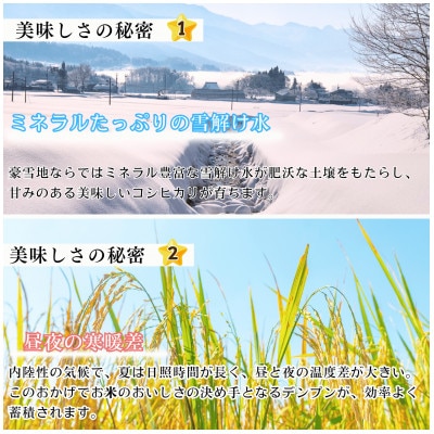 【令和7年産】【先行予約】奥信濃飯山 ～木内ファームのお米～ コシヒカリ 白米 10kg